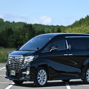 豐田埃爾法商務車-toyota-alphard