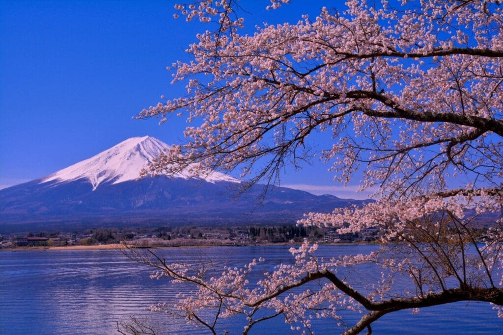 春季富士山