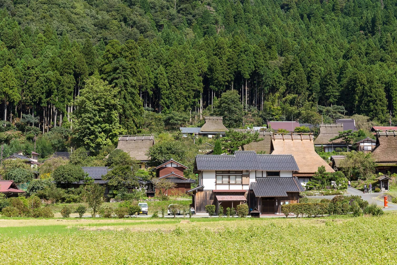 南丹美山町