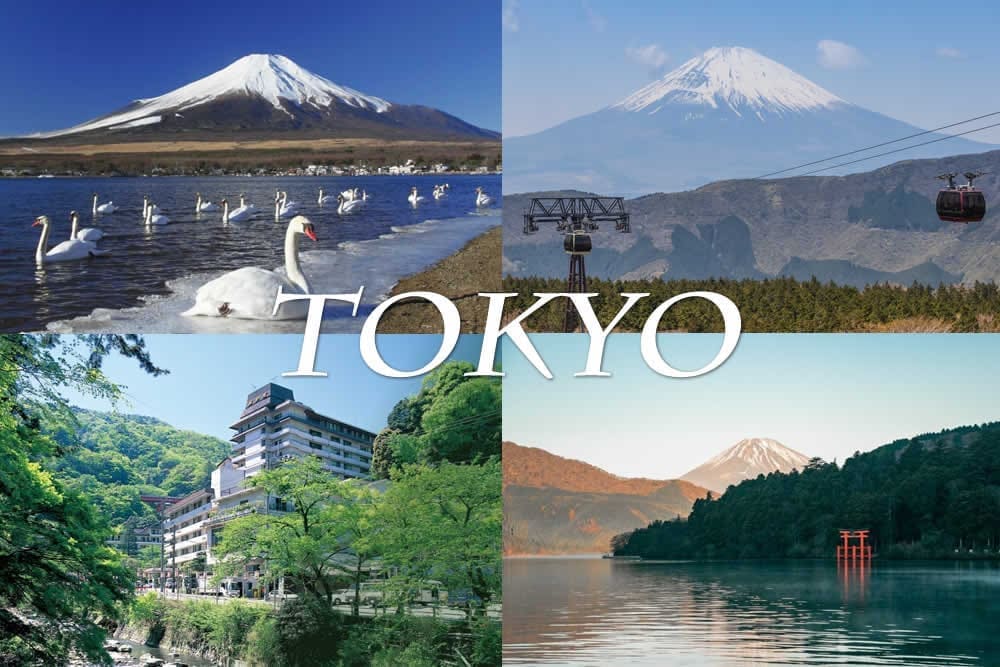 富士山療癒湯旅樂齡四日